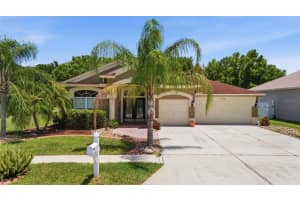 25946 Risen Star Dr, WESLEY CHAPEL 25946 Risen Star Dr, WESLEY CHAPEL
