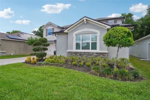 1005 NIGHT SONG STREET, VALRICO, FL 33594 - MLS#MFRTB8508413