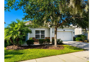 10662 Pictorial Park Dr, TAMPA 10662 Pictorial Park Dr, TAMPA