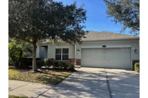 10662 PICTORIAL PARK DRIVE, TAMPA, FL 33647 - MLS#MFRTB8508422