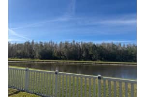 10662 PICTORIAL PARK DRIVE, TAMPA, FL 33647 - MLS#MFRTB8508422