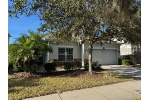 10662 PICTORIAL PARK DRIVE, TAMPA, FL 33647 - MLS#MFRTB8508422
