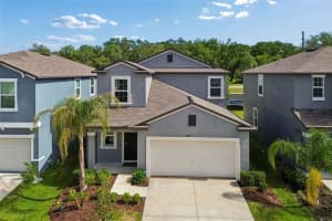 10072 BRANCHING SHIP TRACE, WESLEY CHAPEL, FL 33545 - MLS#MFRTB8508456