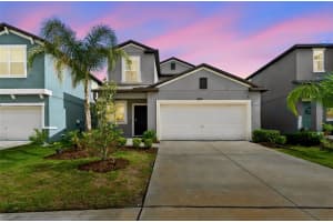 10072 BRANCHING SHIP TRACE, WESLEY CHAPEL, FL 33545 - MLS#MFRTB8508456