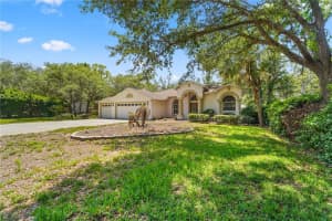 9183 NIGHTINGALE ROAD, WEEKI WACHEE, FL 34613 - MLS#MFRTB8508481