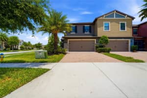 28580 Tranquil Lake Cir, WESLEY CHAPEL