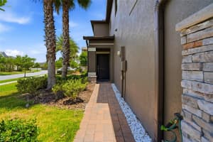 28580 TRANQUIL LAKE CIRCLE, WESLEY CHAPEL, FL 33543 - MLS#MFRTB8508513
