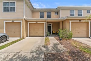 8104 Downpatrick Ct, TAMPA