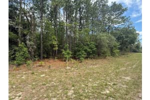 7103 HEMMINGWAY DRIVE, DUNNELLON, FL 34434 - MLS#MFRTB8508523