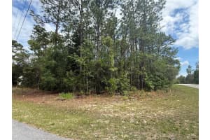 7103 HEMMINGWAY DRIVE, DUNNELLON, FL 34434 - MLS#MFRTB8508523