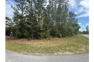 7103 HEMMINGWAY DRIVE, DUNNELLON, FL 34434 - MLS#MFRTB8508523