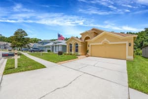 19507 ARDWICK WAY, LAND O LAKES, FL 34638 - MLS#MFRTB8508552