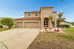 4121 BALINGTON DRIVE, VALRICO, FL 33596 - MLS#MFRTB8508569