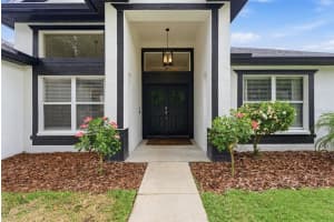 5826 HERONVIEW CRESCENT DRIVE, LITHIA, FL 33547 - MLS#MFRTB8508575