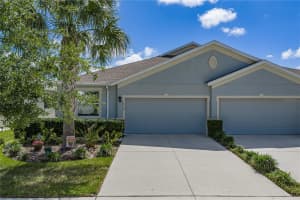 7739 TIMBERVIEW LOOP, WESLEY CHAPEL, FL 33545 - MLS#MFRTB8508623
