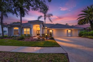 17820 Osprey Pointe Pl, TAMPA