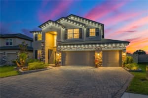 32455 Sapna Chime Dr, WESLEY CHAPEL