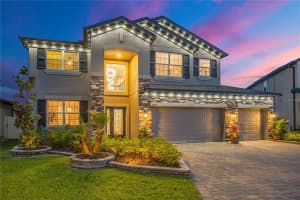 32455 SAPNA CHIME DRIVE, WESLEY CHAPEL, FL 33545 - MLS#MFRTB8508690