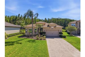 30852 Spruceberry Ct, WESLEY CHAPEL