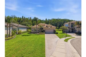 30852 SPRUCEBERRY COURT, WESLEY CHAPEL, FL 33543 - MLS#MFRTB8508762