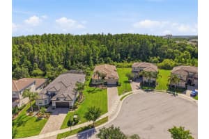30852 SPRUCEBERRY COURT, WESLEY CHAPEL, FL 33543 - MLS#MFRTB8508762