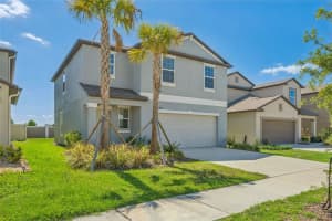 11000 RADIANT SHORE LOOP, SAN ANTONIO, FL 33576 - MLS#MFRTB8508772