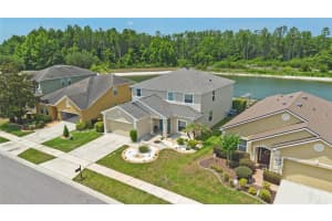 5521 SHASTA DAISY PLACE, LAND O LAKES, FL 34639 - MLS#MFRTB8508773