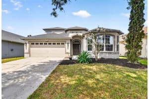10024 Coldwater Loop, LAND O LAKES