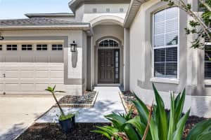 10024 COLDWATER LOOP, LAND O LAKES, FL 34638 - MLS#MFRTB8508788