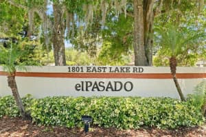1801 LAKE ROAD, PALM HARBOR, FL 34685 - MLS#MFRTB8508789