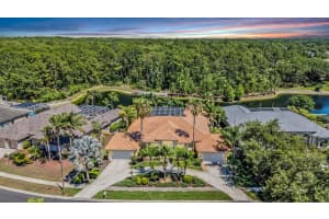 4561 ROANOAK WAY, PALM HARBOR, FL 34685 - MLS#MFRTB8508800
