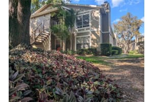 14317 Hanging Moss Cir #101, TAMPA