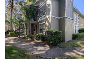 14317 HANGING MOSS CIRCLE, TAMPA, FL 33613 - MLS#MFRTB8508816
