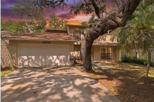 14728 Tall Tree Dr, LUTZ 14728 Tall Tree Dr, LUTZ