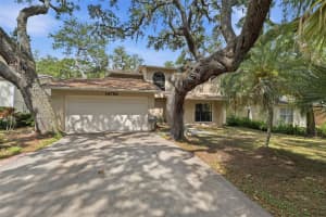 14728 TALL TREE DRIVE, LUTZ, FL 33559 - MLS#MFRTB8508819