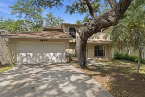 14728 TALL TREE DRIVE, LUTZ, FL 33559 - MLS#MFRTB8508819