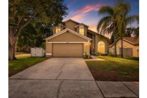 13440 Beechberry Dr, RIVERVIEW 13440 Beechberry Dr, RIVERVIEW