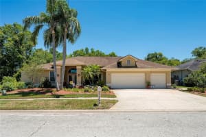 22754 MAGNOLIA TRACE BOULEVARD, LUTZ, FL 33549 - MLS#MFRTB8508831
