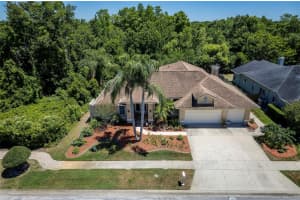 22754 MAGNOLIA TRACE BOULEVARD, LUTZ, FL 33549 - MLS#MFRTB8508831