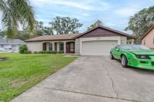 8441 BRAGANZA STREET, SPRING HILL, FL 34608 - MLS#MFRTB8508884