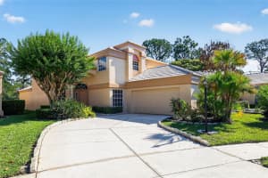 9314 Fairway Lakes Ct, TAMPA