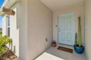 12673 TANNENCREST DRIVE, RIVERVIEW, FL 33579 - MLS#MFRTB8508933