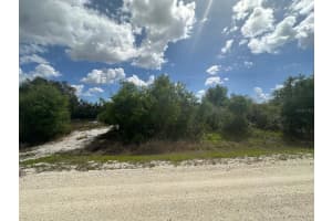 130 VAGABOND AVENUE, LAKE PLACID, FL 33852 - MLS#MFRTB8508954