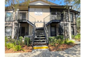 4033 Dream Oak Pl #101, TAMPA 4033 Dream Oak Pl #101, TAMPA