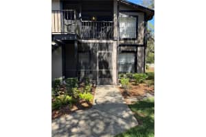 4033 DREAM OAK PLACE, TAMPA, FL 33613 - MLS#MFRTB8508970