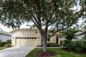 1035 CLEARPOINTE WAY, LAKELAND, FL 33813 - MLS#MFRTB8508974