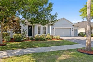 11412 LAKE LUCAYA DRIVE, RIVERVIEW, FL 33579 - MLS#MFRTB8509023
