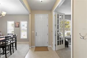 11412 LAKE LUCAYA DRIVE, RIVERVIEW, FL 33579 - MLS#MFRTB8509023