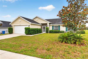 31076 WATER LILY DRIVE, BROOKSVILLE, FL 34602 - MLS#MFRTB8509071