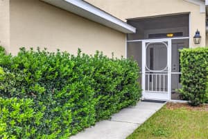 31076 WATER LILY DRIVE, BROOKSVILLE, FL 34602 - MLS#MFRTB8509071
